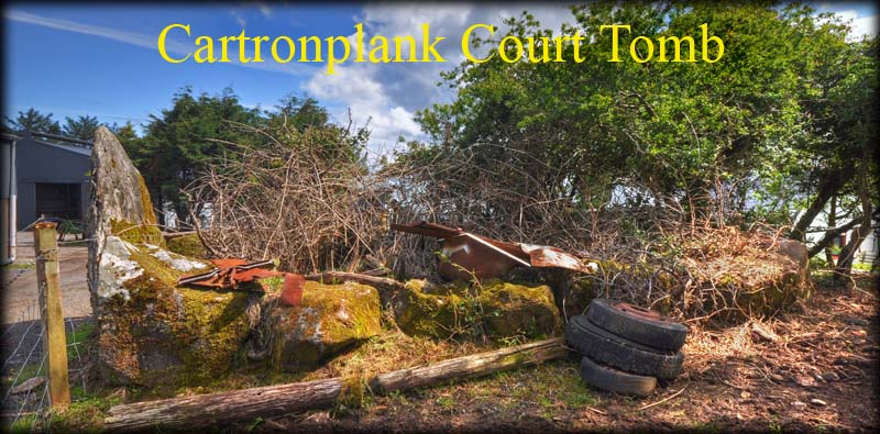 Cartronplank Court Tomb